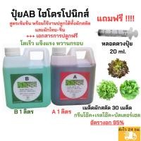 ราคา ฟรีเมล็ดผักสลัด หลอดตวงปุ๋ยเ พียงแค่ 119 บาท ปุ๋ยA+B ขนาด 1 ลิตร ปุ๋ยเอบี ปุ๋ยไฮโดรโปนิกส์ ไฮโดรโปนิกส์ ปุ๋ยผักสลัด (3696978328)