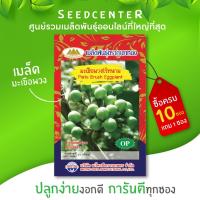 ราคา เมล็ดมะเขือพวงไร้หนาม ขนาด 0.5 กรัม ภูเขาทอง (4217604762)