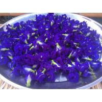 ราคา ดกอัญชันตากแห้ง/เมล็ดดอกอัญชัน (5763317520)