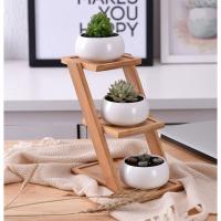 ราคา กระถางต้นไม้ กระถางเซรามิกรุ่นบันได ชุดนี้น่ารักมากแถมคุ้มสุดคุ้ม เพราะได้ทั้งกระถาง 3 ใบพร้อมชั้นวางผลิตจากไม้ไผ่ (7419140956)