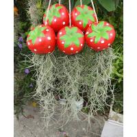 ราคา กระถางต้นไม้ตุ๊กตาแขวนเคราฤาษี สตรอว์เบอร์รีสีแดง (8602116463)