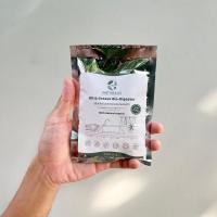 ราคา NATURALIS (1 ซอง) จุลินทรีย์ย่อยไขมันและกำจัดกลิ่นถังดักไขมัน ซิงค์ล้างจาน ป้องกันท่อตัน กำจัดกลิ่นเหม็นท่ออ่างล้างจาน (23978836281)