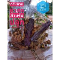 ราคา กระชายดำสดพร้อมปลูก 1กก. (6732821972)