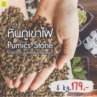 ราคา หินภูเขาไฟ (Pumice Stone) เบอร์ 00,01,02,03(S),SSS หินภูเขาไฟ Lombok แท้ นำเข้าจากอินโด ผสมดินปลูกช่วยเพิ่มความโปร่งของด (18890857682)