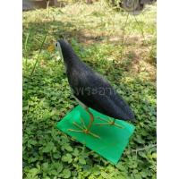 ราคา หุ่นนกกวักยาง นกยางแต่ง นกปลอม นกกวักปลอม (4433292002)