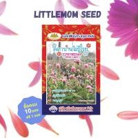 ราคา เมล็ดดอกบานไม่รู้โรยสีชมพู ภูเขาทอง 90 เมล็ด (2953778176)