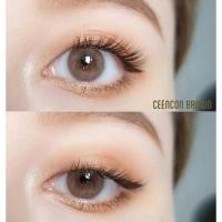 ราคา คอนแทคเลนส์✨ขนาดมินิ✨Brown/ Gray✨ Ceencon (Sweety Soft / Gaezz Secret) (20875215302)