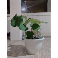 ราคา อ่างบัว19นิ้ว ทรงสูงสีขาว (23954947366)