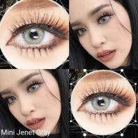 ราคา คอนแทคเลนส์ สายฝอ. รุ่น Mini Jenet สีเทา/ตาล/เขียว Gray/Brown/Green มีค่าสายตาปกติ (0.00) เปลี่ยนแทนทุกเดือน (22566271499)