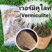 ราคา 8 บาท เวอร์มิคูไลท์ (Vermiculite) (10885211942)