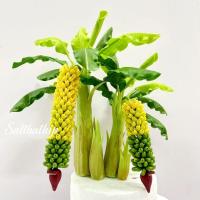 ราคา ฟรีค่าจัดส่ง | ต้นกล้วย ต้นกล้วยปลอม ต้นกล้วยประดิษฐ์ ต้นกล้วยร้อยหวี ต้นกล้วยร้อยหวีดินปั้น กล้วยร้อยหวี (21984147264)