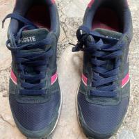 ราคา รองเท้าผ้าใบ ลาคอส LACOSTE สุดน่ารัก ใสแล้วเท่สุดๆ (7835056380)