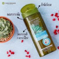 ราคา Yves Rocher Shampoo 300 ml. (8452139133)