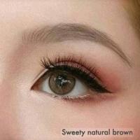 ราคา คอนแทคเลนส์Sweety natural Brown (Sweety Plus) ขนาดมินิ (8325267964)