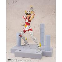 ราคา DD Panoramation Pegasus New LOT JAPAN (8903026913)