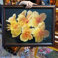 ราคา กรอบรูปภาพมงคล ภาพดอกไม้ ติดบ้าน ร้านค้า ของขวัญปีใหม่ ขึ้นบ้านใหม่ เปิดร้านใหม่ ของที่ระลึก (22570023411)