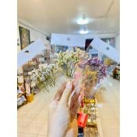 ราคา ดอกไม้แห้ง ดอกสุ่ย 10 บาท (19473771428)