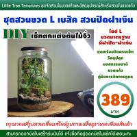 ราคา ชุดจัดสวน ขวดแก้ว DIY ขวดไซต์ L เบสิค (23656760495)