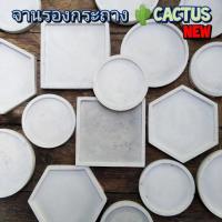 ราคา จานรองกระถางปูนเปลือย (4178446293)