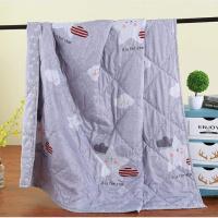 ราคา ผ้าห่มใยไหมบางขนาด6ฟุตห่มได้ทุกหน้า0i0 (2484429423)