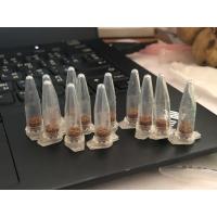 ราคา เมล็ดยิมโน LB2178แท้ๆ X LB2178 แท้ๆ ชุดละ100บาท เมล็ดเเคคตัส (9677835501)