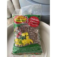 ราคา ดิน POPPER size L ขนาด 1 ลิตร (5091780342)