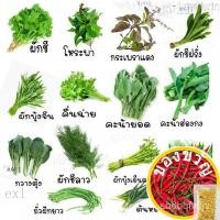 ราคา เมล็ดพันธุ์ผักสวนครัว เมล็ดผัก ชุดที่ 1 เมล็ดผักสวนครัว เมล็ด เมล็ดพริก เมล็ดผักพื้นบ้าน ผักสวนครัว Vegetable Seedsed 72 (20074153981)