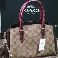 ราคา COACH MINI SAGE CARRYALL IN SIGNATURE CANVAS (4916313720)