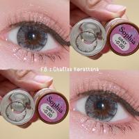ราคา Sophia gray/brown ค่าอมน้ำสูง 55% (22036683683)
