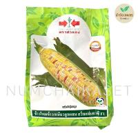 ราคา ข้าวโพดข้าวเหนียว สวีทแฟนตาซี 1 กิโลกรัม เมล็ดพันธุ์ ตราศรแดง (23145694709)