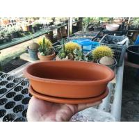 ราคา กระถางบอนไซ.กระถางต้นไม้.กระถางดินเผา.กระถางเซรามิก (3355282234)