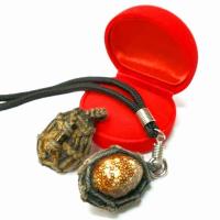 ราคา เบี้ยแก้หลวงปู่บุญ วัดกลางบางแก้ว พร้อมสร้อยเชือกห้อยบูชา (4229039122)