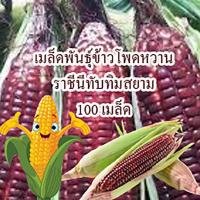 ราคา เมล็ดพันธุ์ข้าวโพดหวานสีแดง ราชินีทับทิมสยาม (100 เมล็ด) เมล็ดพันธุ์คุณภาพแท้ 100% ทานดิบได้ (6834268830)