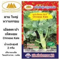 ราคา ภูเขาทอง เมล็ดคะน้าเห็ดหอม เม็ดคะน้า คะน้าเห็ดหอม เมล็ดพันธุ์พืช ขนาด 2 กรัม (8871602861)