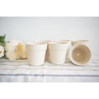 ราคา กระถางเซรามิก กระถางแคคตัส (แถมจานรองฟรี) (5937805028)