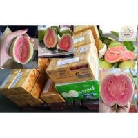 ราคา ฝรั่งแดงไต้หวัน พันธุ์​ซีกัวปาร่า หลินซินซิน หงส์เปาสือ ​ สุกจะหอม หวาน หาทานยาก เก็บอาทิตย์ละครั้ง ​ มีไม่มากนะคะ (5259274775)