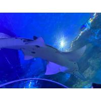 ราคา เครื่องสำอางและ สกินแคร์ (23568304787)