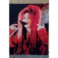 ราคา โปสเตอร์ hide X Japan (18149967776)