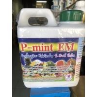 ราคา EMหัวเชื้อจุลินทรีย์เข้มข้น(พี-มินท์)อีเอ็ม (15017372054)