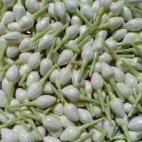 ราคา มะลิทิชชู่ ไซส์เหรียญ10 (22746953275)