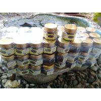 ราคา ของชำร่วยยาดมสมุนไพรหอมนวโกฐ 12ขวด 350บาท ขนาด 8 กรัม ตรารอยัลคินนารี (3839610644)