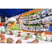 ราคา กรอบแขวนรูปโพลารอยด์ (19157956667)