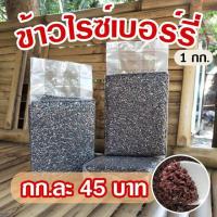 ราคา ข้าวไรซ์เบอรี่ ออแกนิคคัดพิเศษ เพื่อสุขภาพ ปลอดสารพิษ ปลอดภัย100% (5997637186)