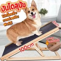ราคา บันไดสัตว์เลี้ยง บันไดสุนัข พับได้ บันไดหมา บันไดทางลาดสุนัข บันไดทางลาด บันไดน้องหมา ทางลาดสุนัข บันไดสุนัขขึ้นรถ (19990904959)