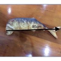ราคา หมอนข้างปลาทูทอดขนาด85cm.(ฟรีส่ง) (1538603690)