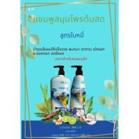 ราคา แชมพูสมุนไพรสด4yl (12815334110)