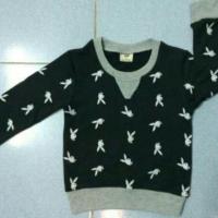 ราคา เสื้อแขนยาว ลาย playboy (78256802)