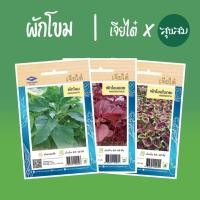 ราคา เมล็ดผัก เมล็ดผักโขม ผักโขม ผักโขมเขียว ผักโขมแดง ผักโขมใบกระ | เจียไต๋ เมล็ดพันธุ์ผัก ปลูกผัก (9214897350)
