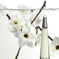 ราคา Issey Miyake L'Eau d'Issey Eau de Toilette Spray 100ml (95635927)