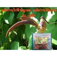 ราคา เมล็ดว่านไก่ฟ้าพญาลอ เมล็ดว่านไม้มงคล เป็นไม้เลื้อยเนื้ออ่อน 50 เมล็ด (6749169382)